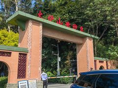 -火炉山森林公园