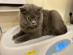-萌兽医馆·犬猫专科·眼科中心·宠物医院(朝阳门分院)