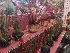-越秀西湖花市(广州城市广场花卉店)