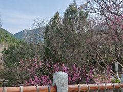 -佛慧山