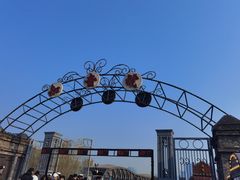 -武汉知音号