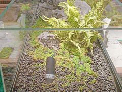 -绿茶餐厅(青岛城阳万象汇店)