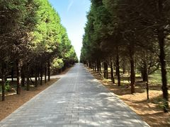 -秦始皇帝陵博物院-丽山园