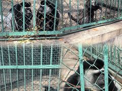 -秦皇岛野生动物园