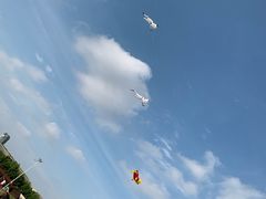 -栖露营camping·天幕烧烤·团建拓展·采摘营地