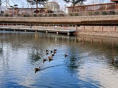-北岭山森林公园