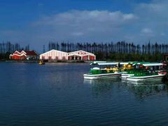 -上海长兴岛郊野公园