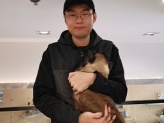 -飞行喵MR PILOT|猫舍·猫咖(静安大融城店)