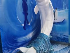 -多彩贵州城极地海洋世界