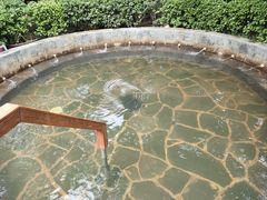 -西安国际创新人才交流中心•药浴温泉