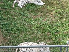 -石家庄市动物园