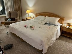 -南京维景国际大酒店(南京博物院店)