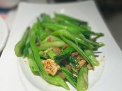 生炒广东菜心-大树餐厅(益田假日店)
