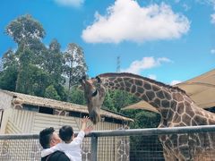 -泉州海丝野生动物世界