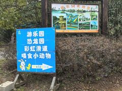 -上海海湾国家森林公园