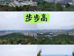 -临平公园(临平街道)