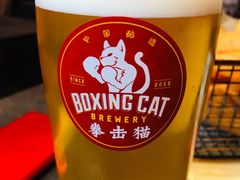 -Boxing Cat Brewery拳击猫精酿啤酒馆(永福店)