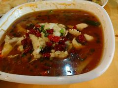 -焯明脆肉鲩世家(金沙洲店)