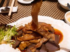 -金燕岛潮州酒楼