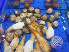 -鲜得莱渔港·小平岛海胆馆(七贤岭店)
