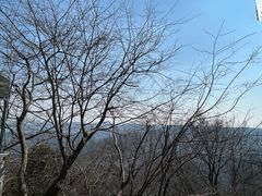 -灵顺寺