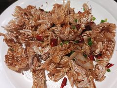 皮皮虾-健眺小海鲜(临海后山店)