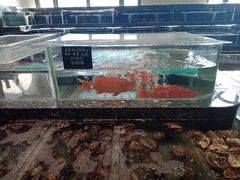水产区-宴周康·精致江浙菜(周浦店)