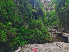 -茅兰沟国家森林公园