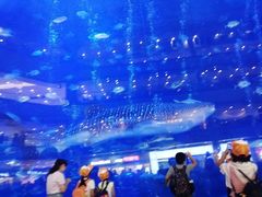 -成都浩海立方海洋公园