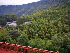 -大余丫山旅游度假区