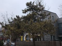 -耳朵眼炸糕(鼓楼店)