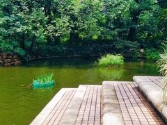 -九龙公园