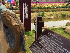 -望天湖