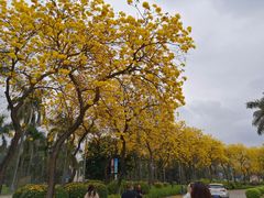 -仙湖旅游度假区