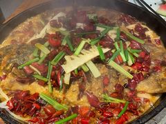 -老板恋上鱼(高新万达店)