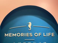 -海马体照相馆(重庆爱琴海购物公园店)