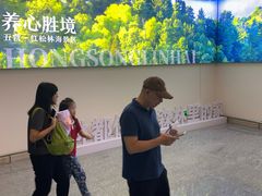 -伊春林都机场