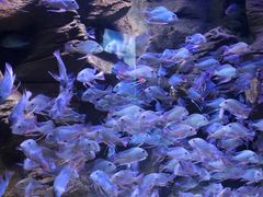 -成都浩海立方海洋公园