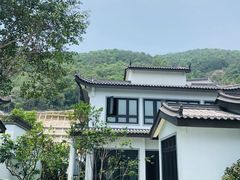 -聚龙小镇