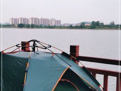-鹤之洲湿地公园