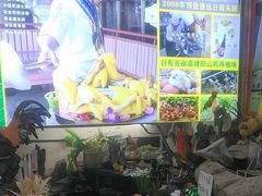 -食德喜·阳山鸡王食研基地