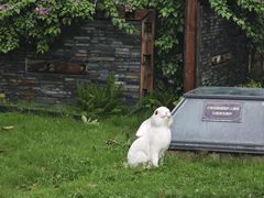 -老房子金沙元年川菜食府·花园餐厅(金沙店)