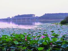-丁香湖公园