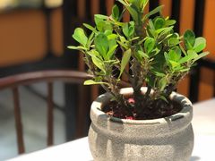 -老廣糖水铺(乐汇城店)
