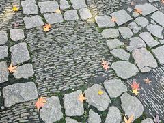 -秋霞圃