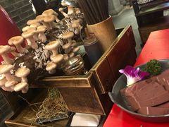 -谭鸭血老火锅(漳州路店)