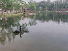 -武汉动物园