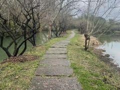 -西溪国家湿地公园