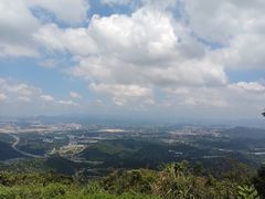 -黄埔油麻山森林公园
