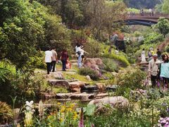 -云溪植物园